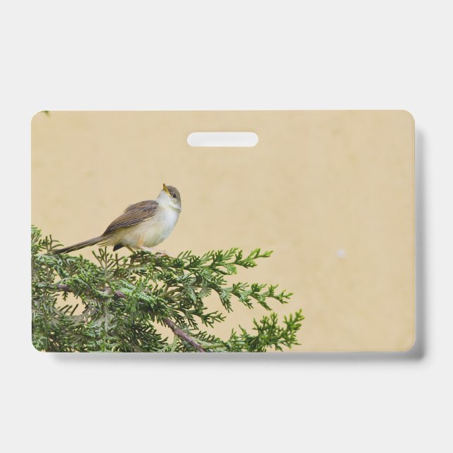 Sparrow  ID badge (Front)