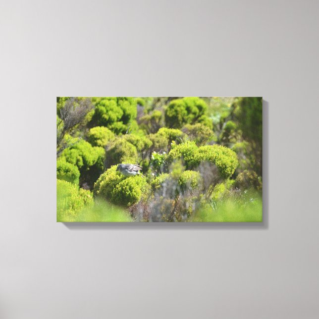 Sparrow In Brush Canvas Print (Front)
