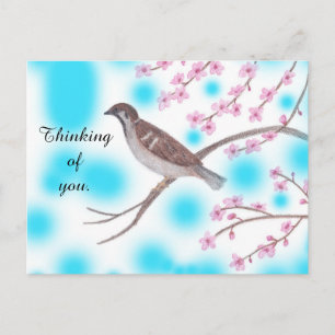 Sparrow in Cherry Blossom Tree Sky Postcards