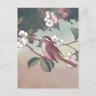 Sparrow in Flowering Apple Tree Postcard