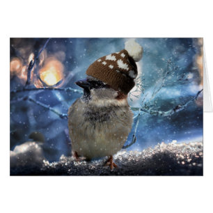 Sparrow in Snow Hat Christmas Card