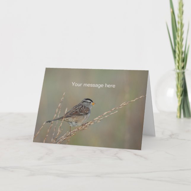 Sparrow in the Grass 2 Greeting Card (Front)
