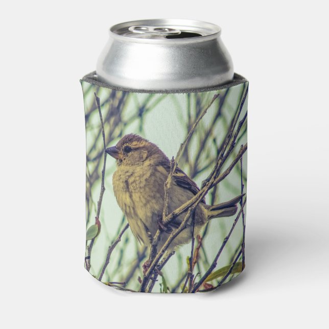 Sparrow in Tree Photo Can Cooler (Can Back)