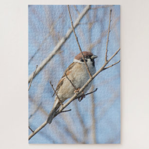 Sparrow Jigsaw Puzzle