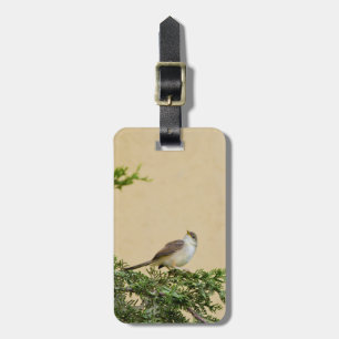Sparrow  luggage tag