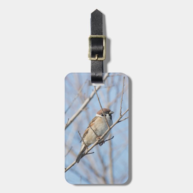 Sparrow Luggage Tag (Front Vertical)