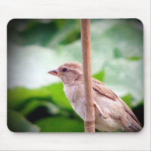 Sparrow Mouse Mat