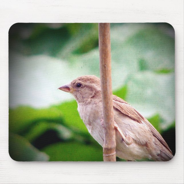 Sparrow Mouse Mat (Front)