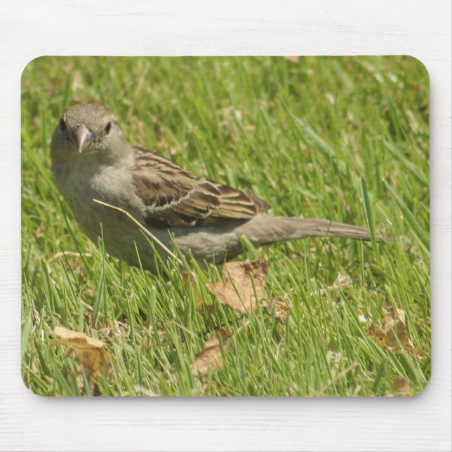 sparrow mouse mat (Front)