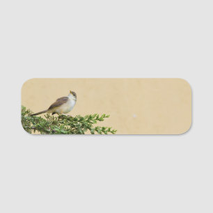 Sparrow name tag