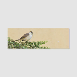 Sparrow name tag