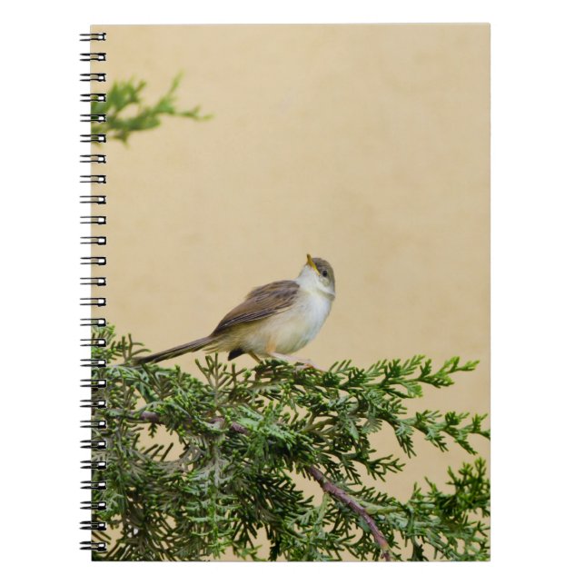 Sparrow Notebook (Front)