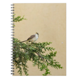 Sparrow Notebook