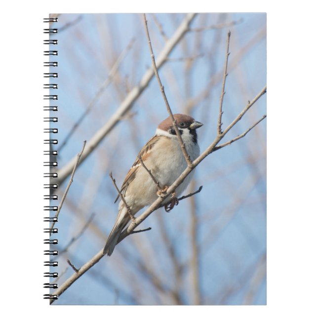 Sparrow Notebook (Front)