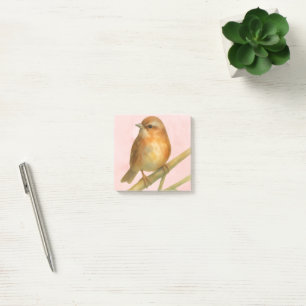 Sparrow Notes