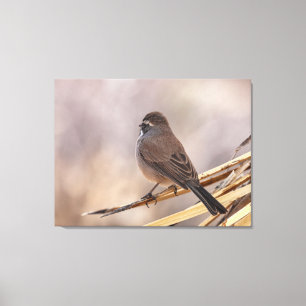 Sparrow on a Thin Branch Canvas Print