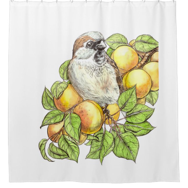 Sparrow on an apricot branch shower curtain (Front)