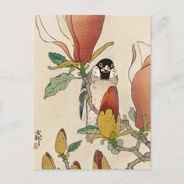 Sparrow on Blooming Magnolia Branch by Ohara Koson Postcard (Front)