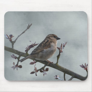 Sparrow on Branch Photo Mouse Mat