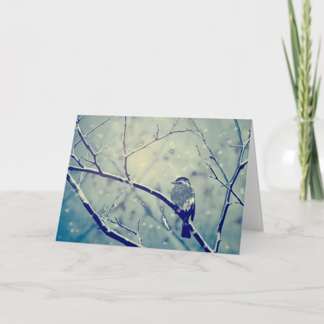 Sparrow on the snowy branch holiday card (Front)