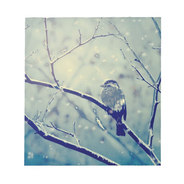 Sparrow on the snowy branch notepad (Front)