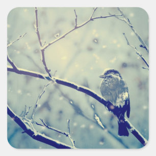 Sparrow on the snowy branch square sticker