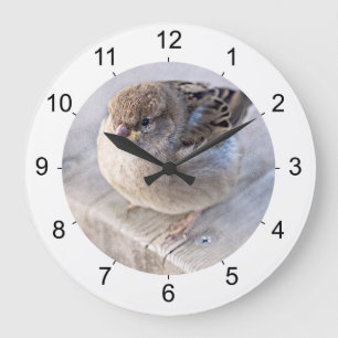 Sparrow - Overweight Large Clock