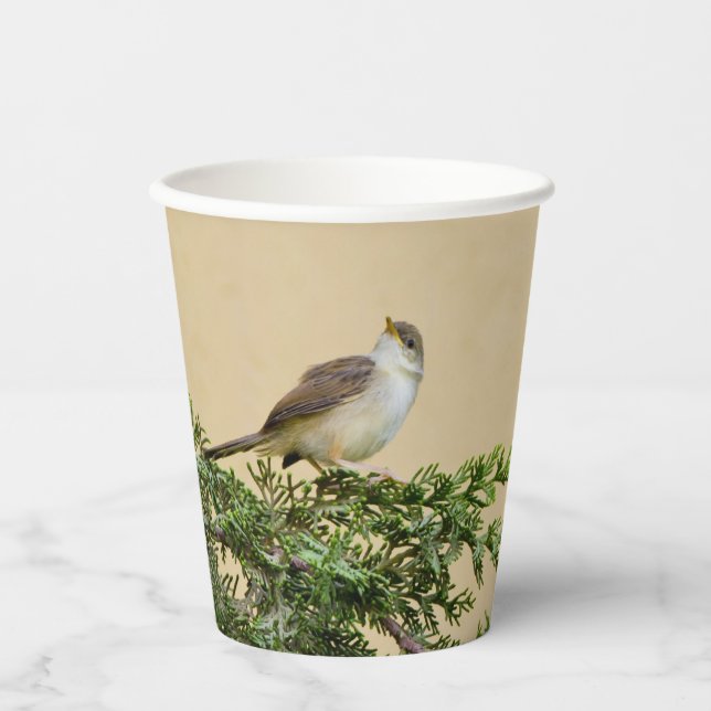 Sparrow  paper cups (Front)