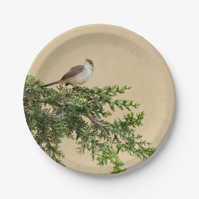 Sparrow  paper plate (Front)