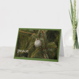 sparrow peace holiday card