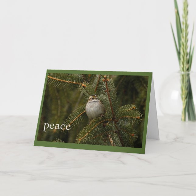 sparrow peace holiday card (Front)