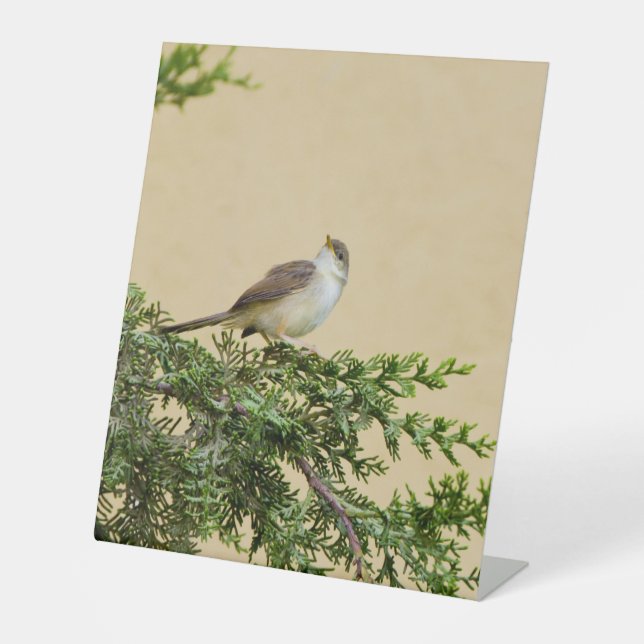 Sparrow  pedestal sign (Front)