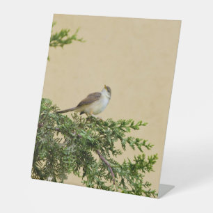 Sparrow pedestal sign