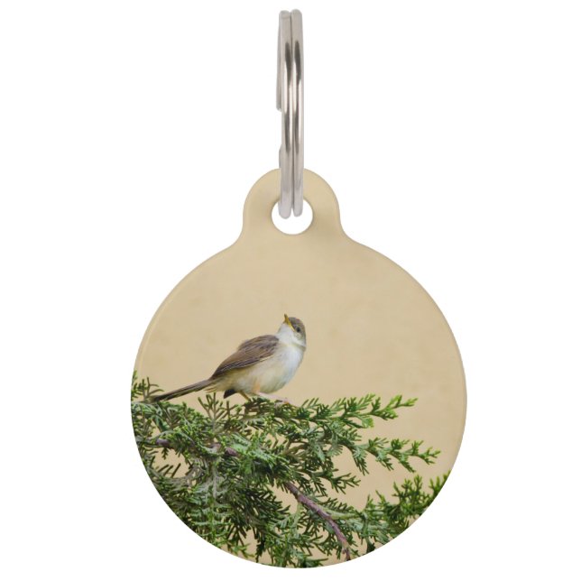 Sparrow  pet tag (Front)