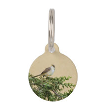 Sparrow  pet tag