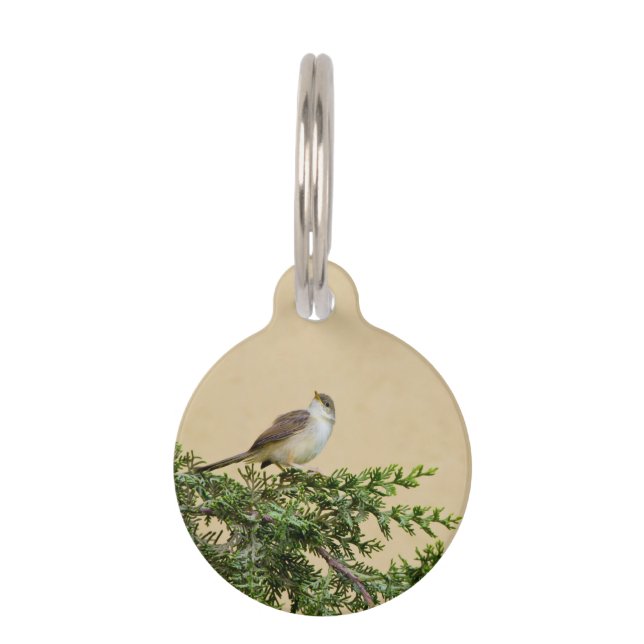 Sparrow  pet tag (Front)
