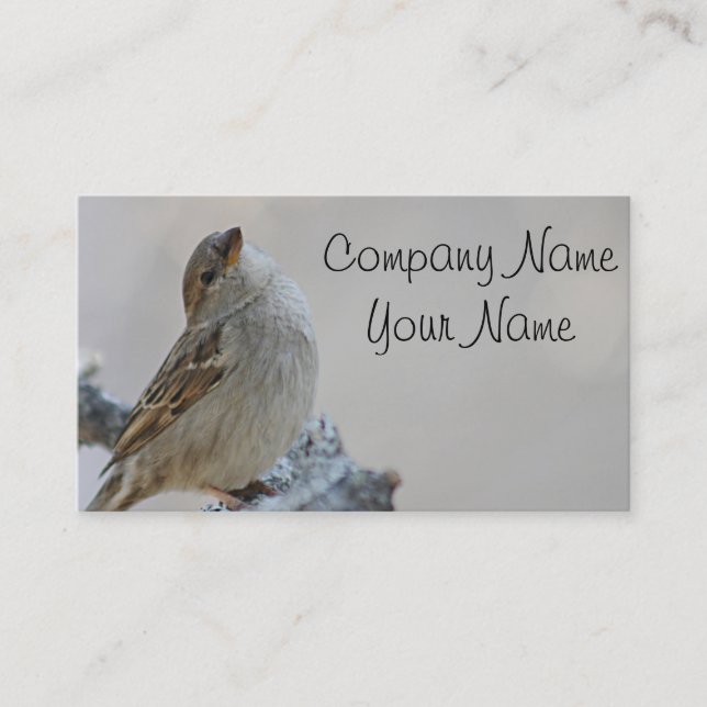 Sparrow photo business card (Front)