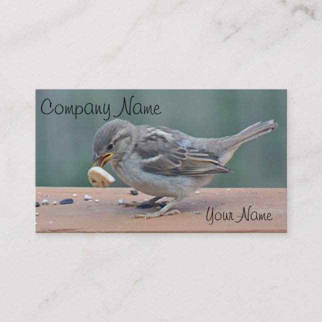 Sparrow photo business card (Front)