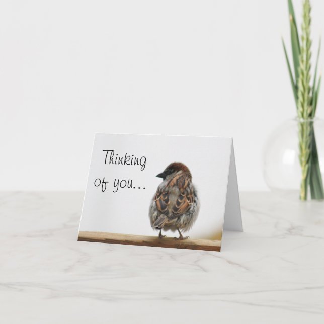 Sparrow photo card (Front)