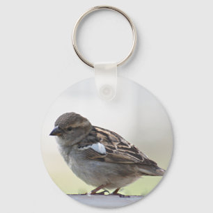 Sparrow photo key ring