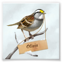 Sparrow