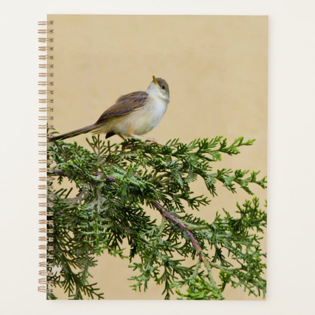 Sparrow  planner (Front)