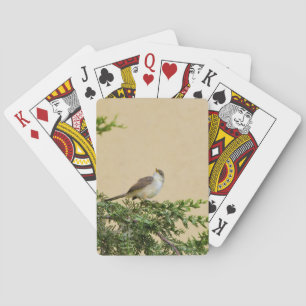 Sparrow playing cards