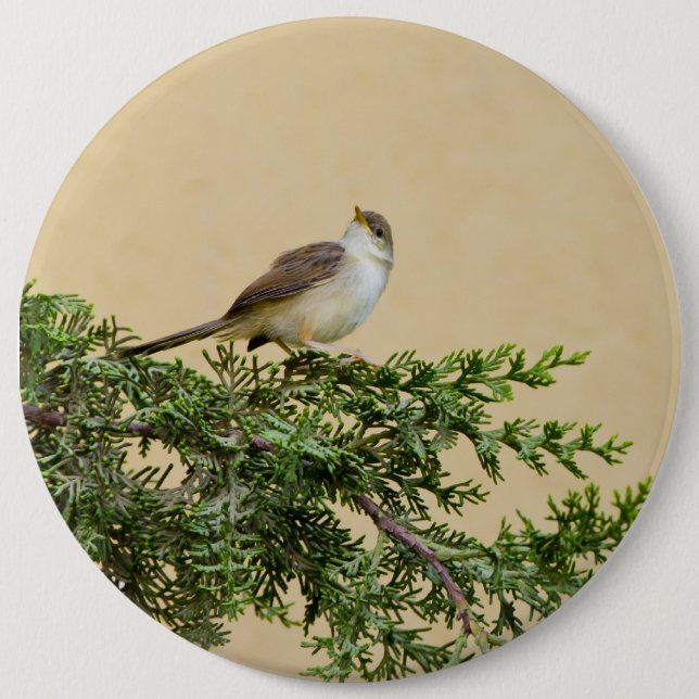 Sparrow Postcard 6 Cm Round Badge (Front)