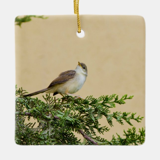 Sparrow Postcard Ceramic Ornament (Front)
