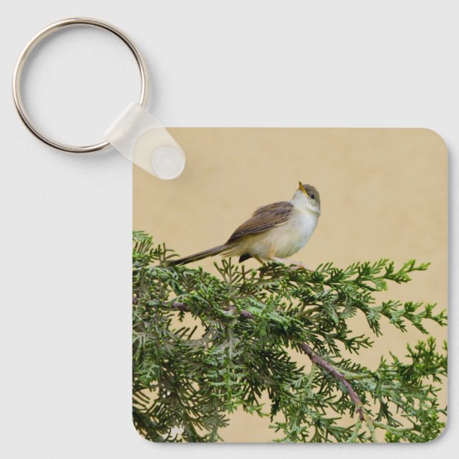 Sparrow Postcard Key Ring (Front)