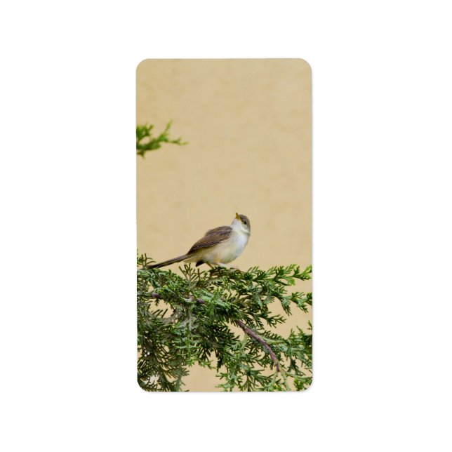Sparrow Postcard Label (Front)