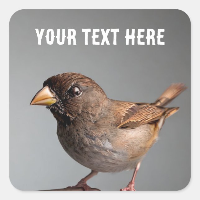 Sparrow Square Sticker (Front)