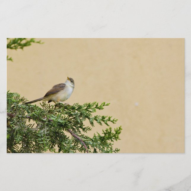 Sparrow Stationery (Front)