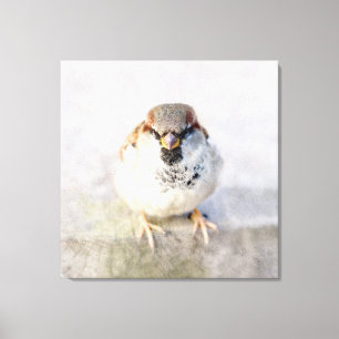 Sparrow - The Warrior Canvas Print